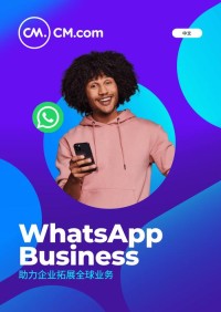 WhatsApp美国市场用户规模与商业应用趋势全面观察