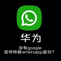毒男whatsapp常见聊天套路与识别应对指南