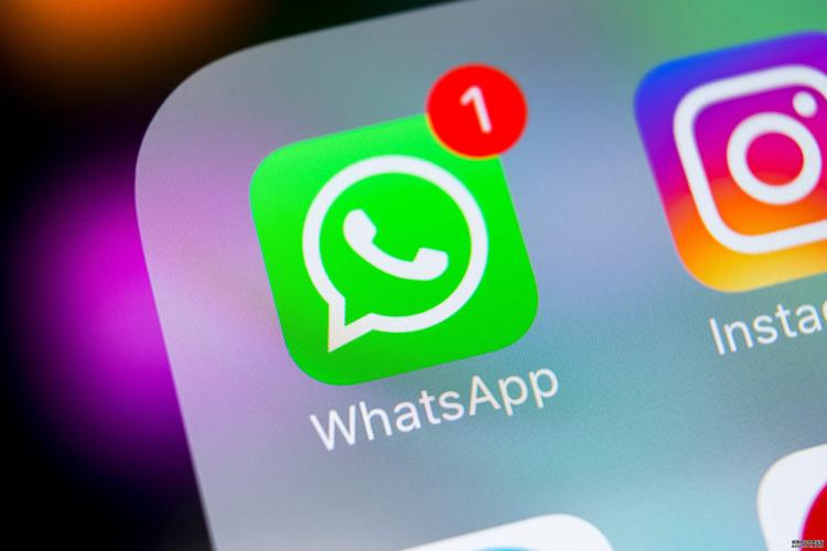 WhatsApp消息打两个勾是什么意思 双勾与蓝勾区别全解析 WhatsApp消息打两个勾是什么意思 双勾与蓝勾区别全解析