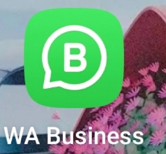 微信 line whatsapp三款即时通讯工具的功能差异与使用场景分析 微信 line whatsapp三款即时通讯工具的功能差异与使用场景分析