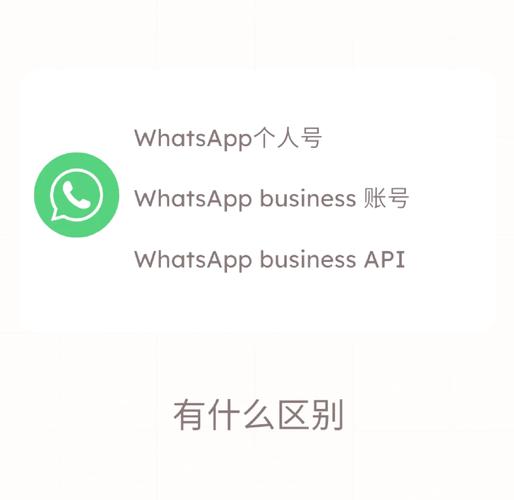 如何安全高效地使用WhatsApp进行日常沟通与团队协作 如何安全高效地使用WhatsApp进行日常沟通与团队协作